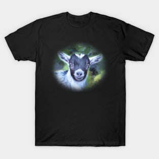 Portrait of a Goat - Pygmy Kid T-Shirt